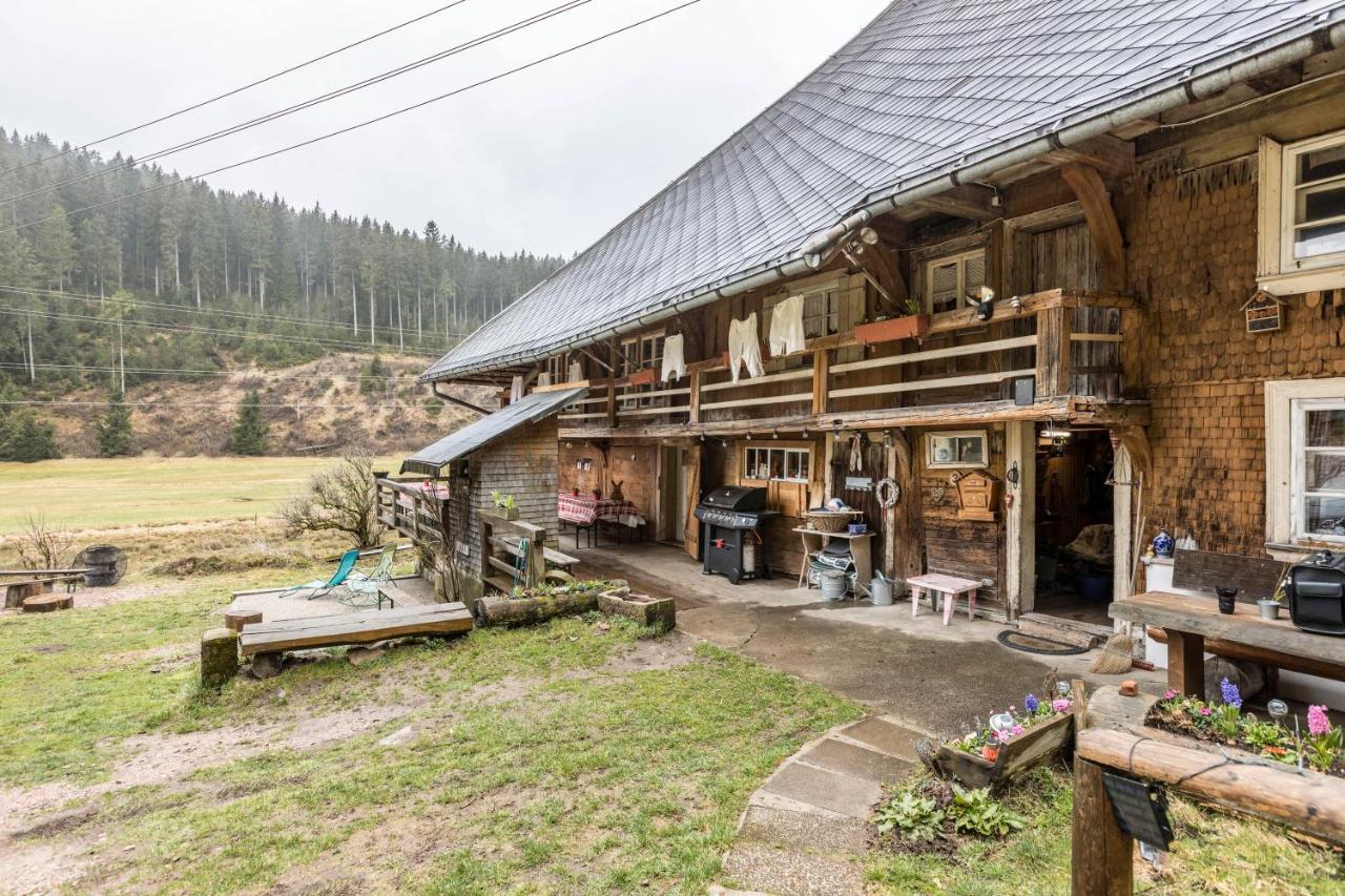Schwoererhof Eisenbach (Breisgau-Hochschwarzwald) Exterior foto