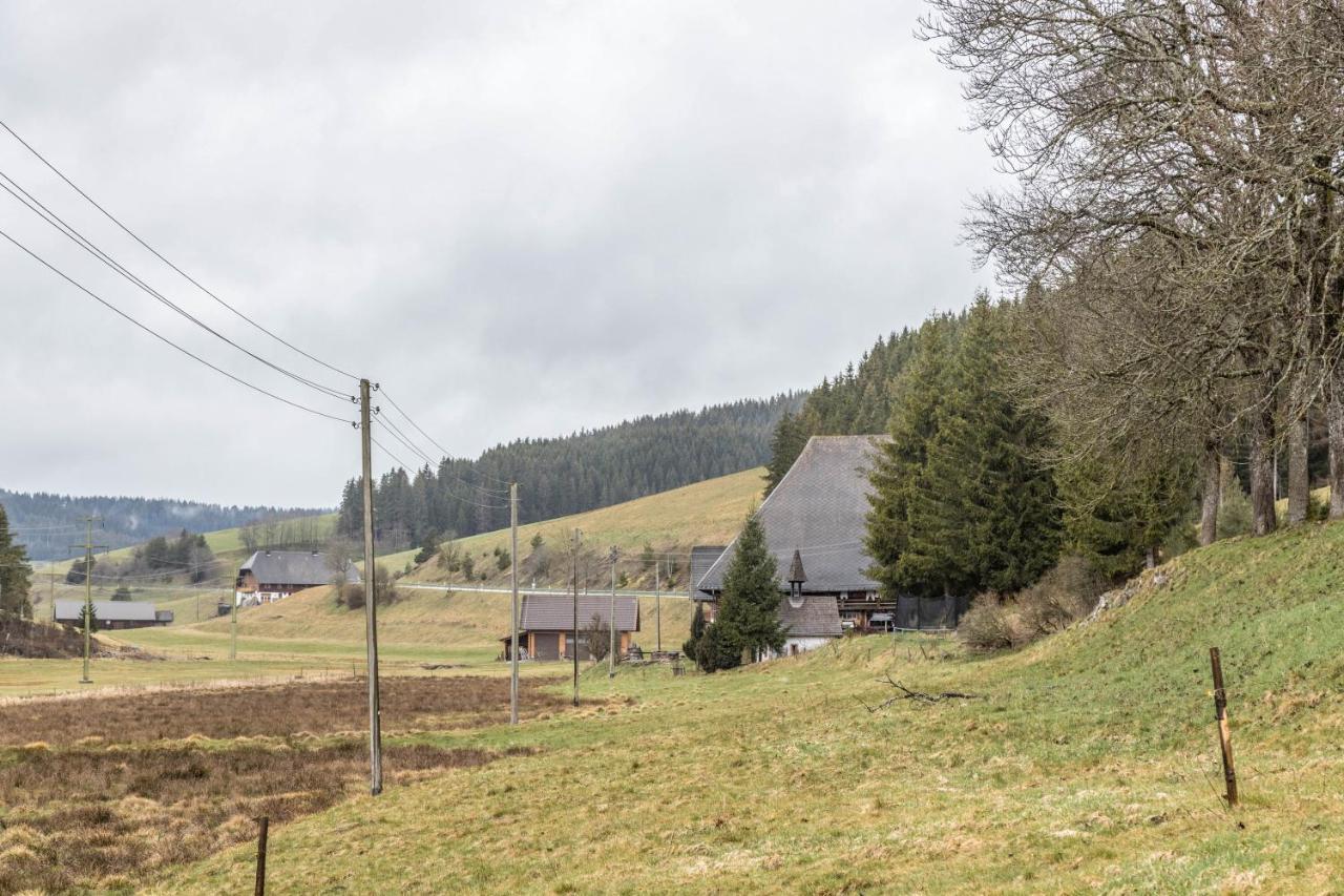 Schwoererhof Eisenbach (Breisgau-Hochschwarzwald) Exterior foto