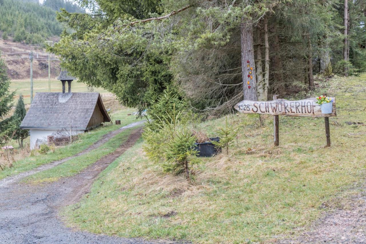 Schwoererhof Eisenbach (Breisgau-Hochschwarzwald) Exterior foto